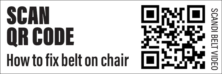 Five point Harness Seat Belt