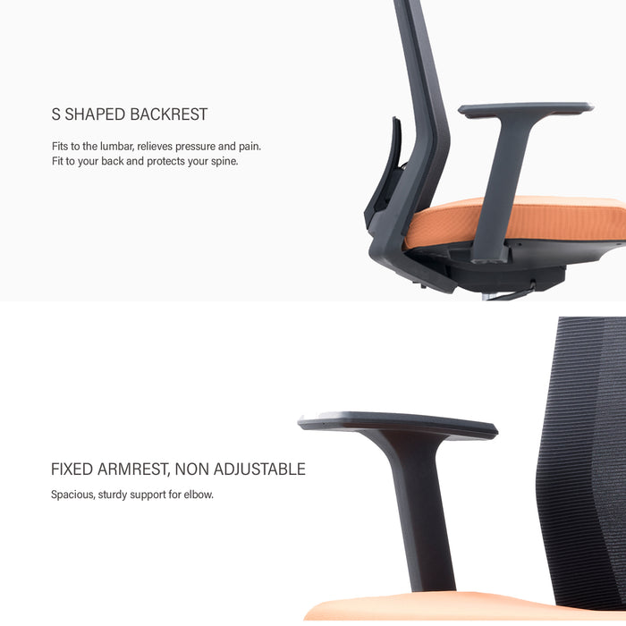 Ergonomic Lumbar Home Office Chair